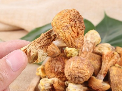 云南特产干货姬松茸干巴菌批发代理量大从优1000g起批图1