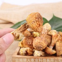 云南特产干货姬松茸干巴菌批发代理量大从优1000g起批