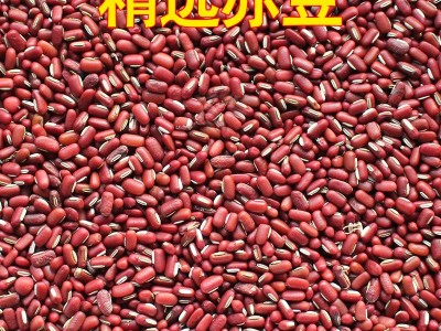 赤小豆 长粒红小豆 赤小豆 红小豆 农家赤豆赤小豆  2千克起批图3