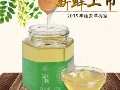 新鲜陕西洋槐蜜上市 欢迎批发 源头产品量大从优图1