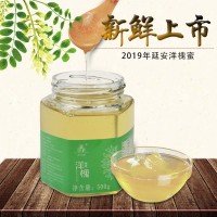 新鲜陕西洋槐蜜上市 欢迎批发 源头产品量大从优