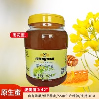 厂家货源 7斤装蜂蜜太行山野山枣花蜂蜜蜂瓶装枣花蜜