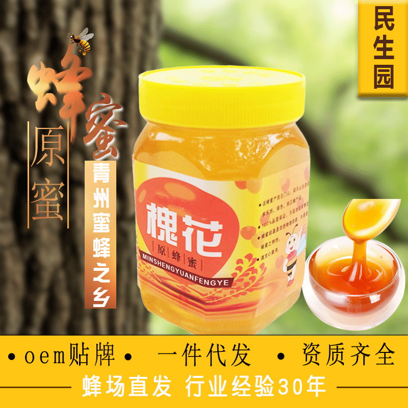 洋槐蜂蜜批发 瓶装原蜜 农家蜂场自产百花蜜 土特产一件代发蜂蜜