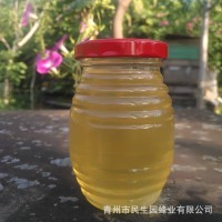 蜂农自产槐花蜜250g瓶装蜂蜜 瓶装槐花蜂蜜 批发  2瓶起批