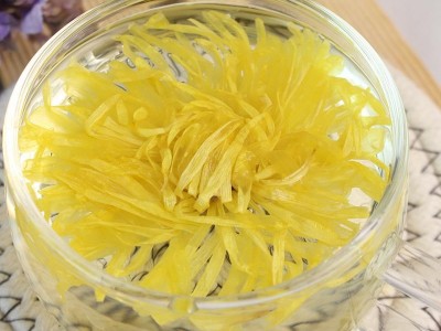 金丝皇菊 菊花茶金丝皇菊一朵一杯花草茶盒装花茶源头厂加工批发图3