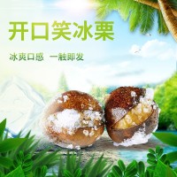 燕山明珠 冰板栗 450g/袋 冷冻开口笑 熟板栗 批发