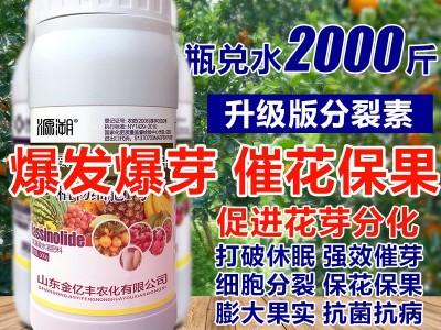 1000毫升多肉植物细胞分裂素催芽剂促花促生长保花保果叶面肥正品图1