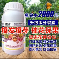 1000毫升多肉植物细胞分裂素催芽剂促花促生长保花保果叶面肥正品