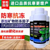 植物防冻液抗冻剂果树防寒植物抗寒防冻液植物防冻剂通用正品