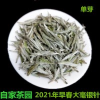 2021年白茶春茶米粒芽大毫白茶头采单芽日晒批发广西三江茶叶