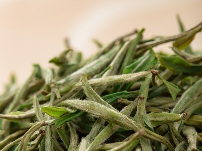 新茗堂明前黄山毛峰2022新茶特级绿茶春茶茶叶500g散装袋装批发图5