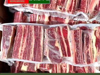 首菜首家黄膘牛大排骨斤/件冷冻食品草饲牛腱牛腩牛肉批发图2