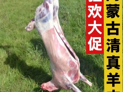 伟和祥内蒙古清真羔羊肉带皮羊排羊后腿新鲜冷冻生羊前腿羊肉块图1