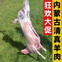 伟和祥内蒙古清真羔羊肉带皮羊排羊后腿新鲜冷冻生羊前腿羊肉块