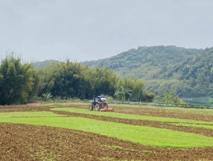 金融链接农业精准滴灌　助力“新农人”追寻“稻田梦”