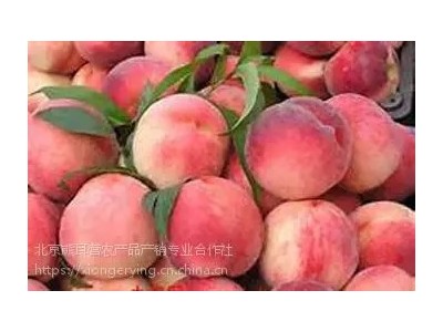 14号桃，平谷原产地直发，8月成熟大桃图2