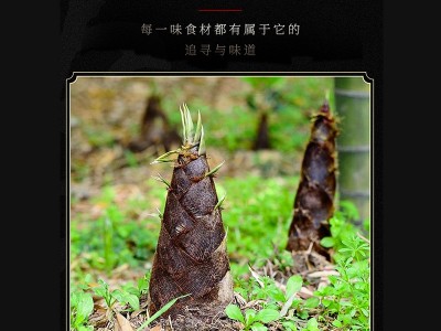 桃江原味糯米笋248g 袋装农家酒店特色菜 速食素菜半成品笋干批发图3