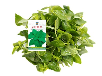 批发春季蔬菜种子茄子向日葵盆栽辣椒草莓玉米地摊四季菜籽 空心菜图1
