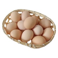 【土鸡蛋】农村散养土鸡蛋营养健康土鸡蛋50枚 代发
