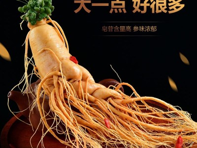 【保鲜人参】土特产批发泡酒小参 长白山鲜人参袋装多种药材厂家图4