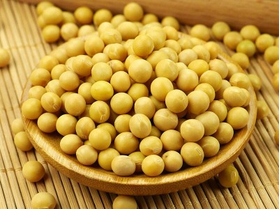有机黄豆450g黄豆打豆浆生豆芽专用东北大豆农家新黄豆五谷杂粮图4