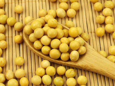有机黄豆450g黄豆打豆浆生豆芽专用东北大豆农家新黄豆五谷杂粮图3