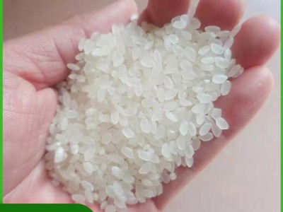 大量供应酒厂发酵碎米 熬粥用大米 颗粒均匀饱满 支持定制图1