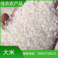 2022优质珍珠米 现货直售生态大米 饱满粒圆 无添加剂