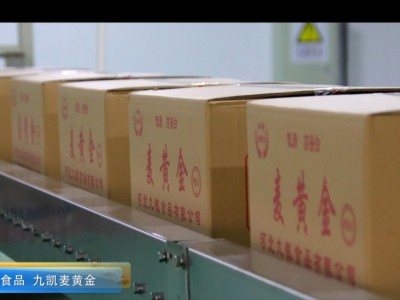 九凯麦黄金125g*32箱装商用饭店涮锅食材火锅干面筋素肉素食干货 2箱起批图5