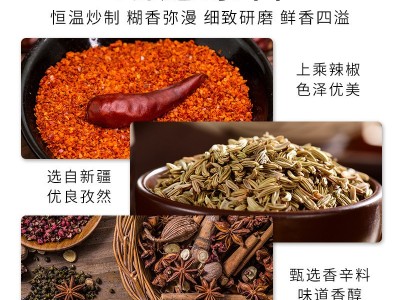 厂家现货批发样品小包香辣孜然粉调味料 炸鸡排外卖撒料烧烤蘸料 2袋起批图2