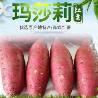 日本玛莎莉红薯高端品种红皮黄肉现挖现卖老少皆宜
