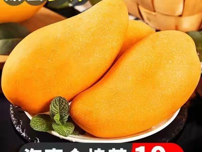 海南金煌芒芒果新鲜10斤水仙芒当季热带水果大青甜心芒整箱图1