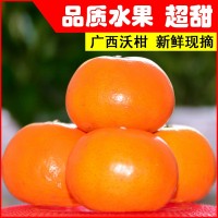 广西新鲜沃柑橘子热带应季水果沃甘3斤5斤10斤大果一件代发