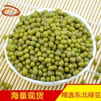 【厂家批发】金威玛东北大绿豆东北杂粮 绿豆汤绿豆沙原料