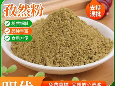 孜然粉 火锅底料辣椒酱大鱿鱼鸡排裹粉 烧烤粉调味料香辛孜然粉图1