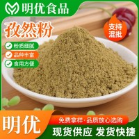 孜然粉 火锅底料辣椒酱大鱿鱼鸡排裹粉 烧烤粉调味料香辛孜然粉