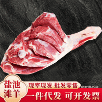 宁夏滩羊肉羊后腿 羊肉串羊小腿餐饮烧烤涮新鲜羊肉食材