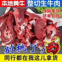 本地散养新鲜黄牛生牛肉牛碎肉冷冻商用冷冻大块碎牛肉批发牛肉块