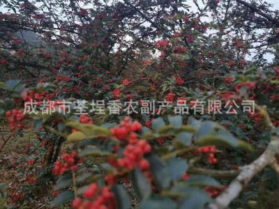 花椒麻椒 四川红花椒香料火锅底料炖卤料麻辣烫调味品香辛料大全图5