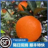 云阳纽荷尔新鲜水果脐橙维C橙子批发广柑5斤整箱现摘应季脐橙现货