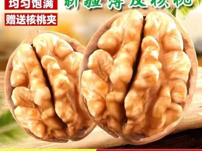 新疆2023新薄皮核桃原味无添加好核桃 薄皮核桃图1
