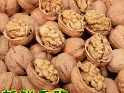 新疆2023新薄皮核桃原味无添加好核桃 薄皮核桃图3