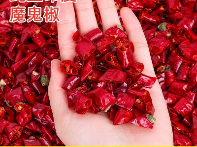 干辣椒段无籽特辣印度魔鬼椒变态辣香辣干辣椒湖南四川饭店专用图1