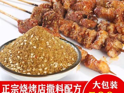 孜然粉烧烤调料烤肉料撒料粉家用蘸料腌料椒盐套装组合全套羊肉串图1