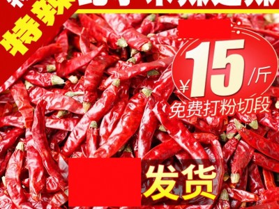 超辣特辣变态辣福建辣椒王小米椒新一代不带把带帽印度椒包邮图1