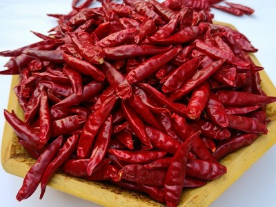 河南新一代干辣椒朝天椒三樱椒大量批发火锅底料厂家现货直销图1