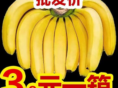 香蕉图1
