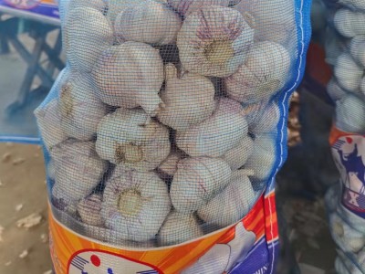 山东大喜食品全年供应新鲜大蒜5.0cm5.5cm6.0cm garlic 价格优惠图4