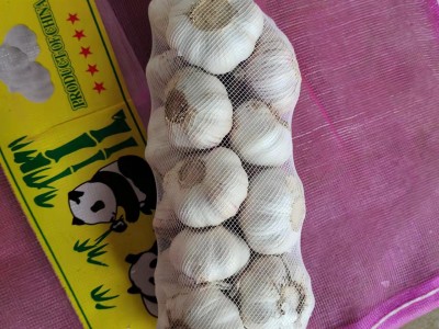山东大喜食品全年供应新鲜大蒜5.0cm5.5cm6.0cm garlic 价格优惠图1