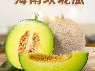 代发供应 应季头茬哈密网纹瓜 多汁新鲜大甜瓜 海南玫珑甜瓜图1